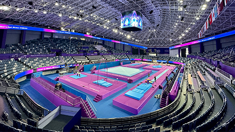 金年会集团：田径训练器材杆子